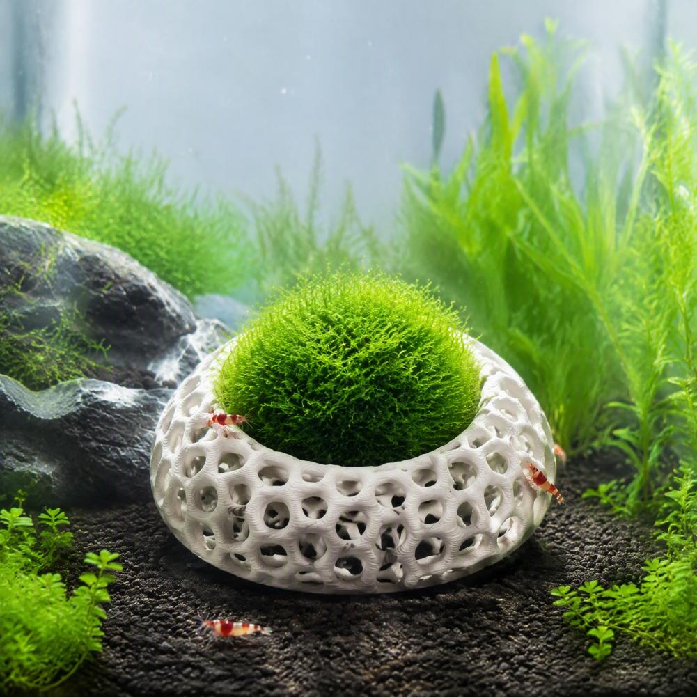 Planted Aquarium Anubias - ของตกแต่งตู้ปลาเชอร์รี่ชริมป์ ชุด 2 ชิ้น ถ้ำซ่อนตัวทรงกลมสำหรับกุ้งเชอร์รี่ดวอร์ฟ ตู้ปลาเชอร์รี่ชริมป์มอสและอะนูเบียส