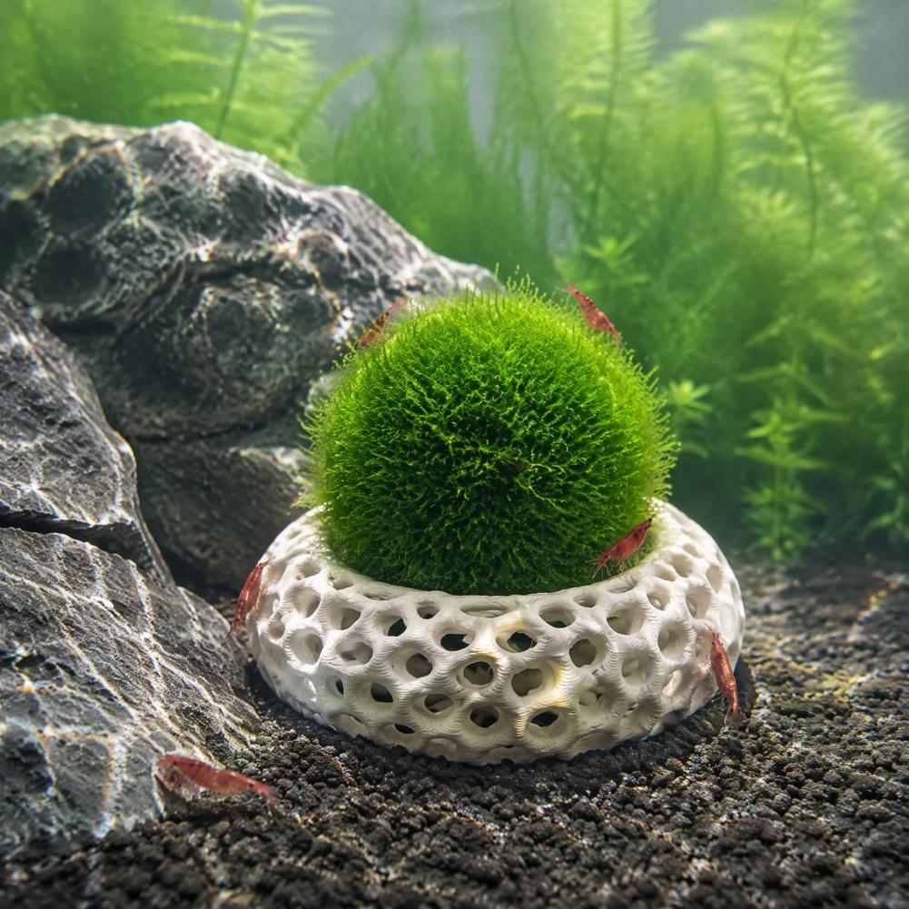 Planted Aquarium Anubias - ของตกแต่งตู้ปลาสำหรับกุ้ง ชุด 2 ชิ้น ถ้ำกุ้งสำหรับพืชน้ำ ที่ซ่อนตัวทรงกลมสำหรับกุ้งเชอร์รี่ดวอร์ฟ