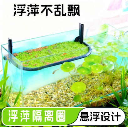 Aquarium Plant Seeds - วงแหวนแยกสำหรับป้อนอาหารพืชน้ำ พร้อมเมล็ดพันธุ์พืชน้ำ สำหรับการจัดตู้ปลาแบบไมโครแลนด์สเคปเชิงนิเวศ จัดส่งแบบครบวงจร ZR