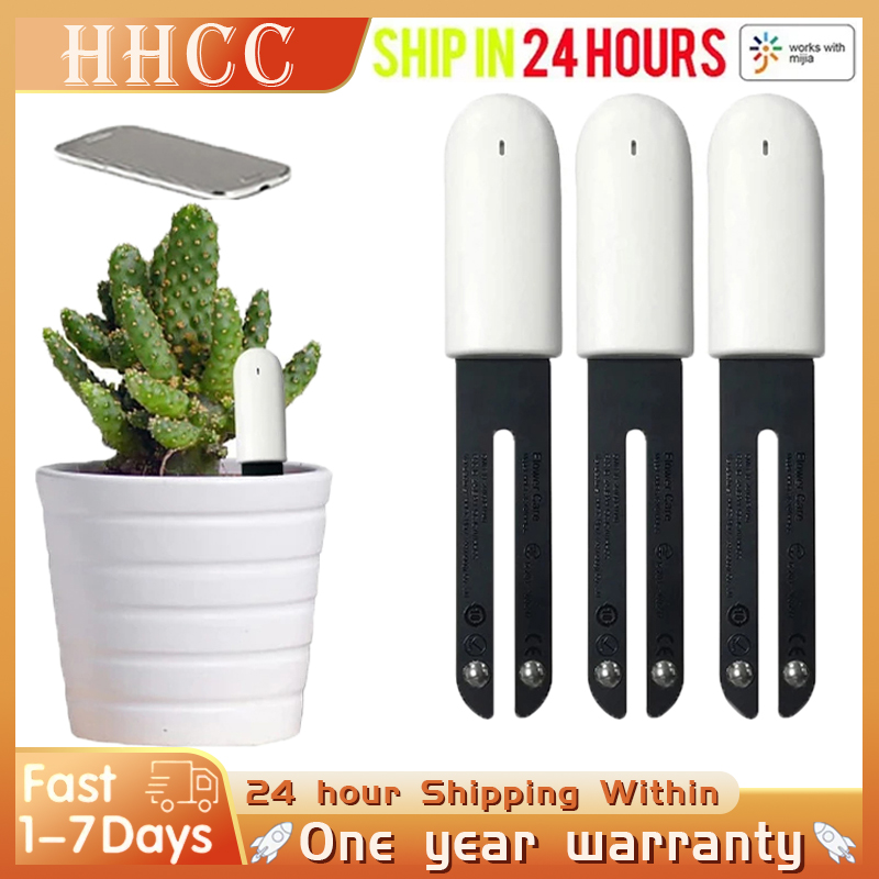 Tissue Culture Plant - HHCC ดอกไม้ Monitor Flora Garden Care