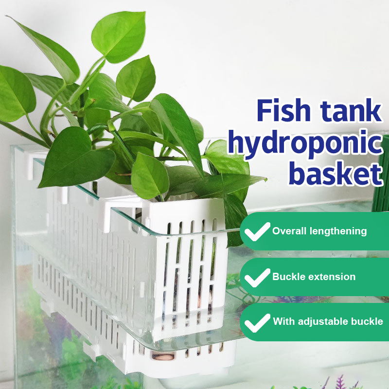 Aquarium For Planted Tank - 【F】กระถางแขวนตู้ปลา ที่วางต้นไม้น้ำ ตะกร้าปลูกพืชน้ำทนความร้อน ตะกร้าสำหรับปลูกพืชน้ำใต้น้ำในตู้ปลา