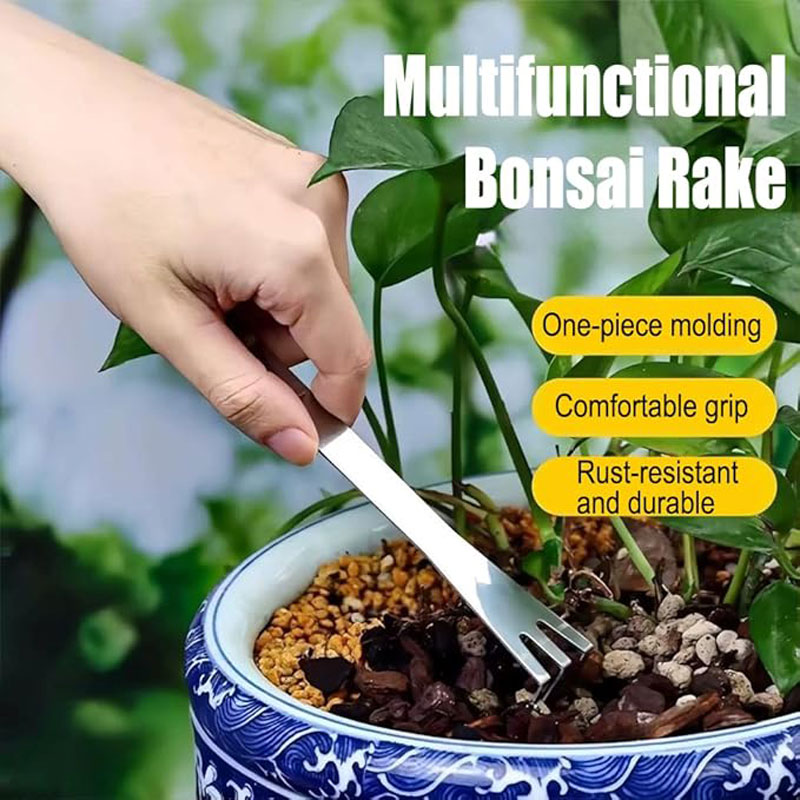 คราดถอนรากสแตนเลสแบบมือถือ สำห - Tissue Culture Plant บทวิจารณ์และราคา