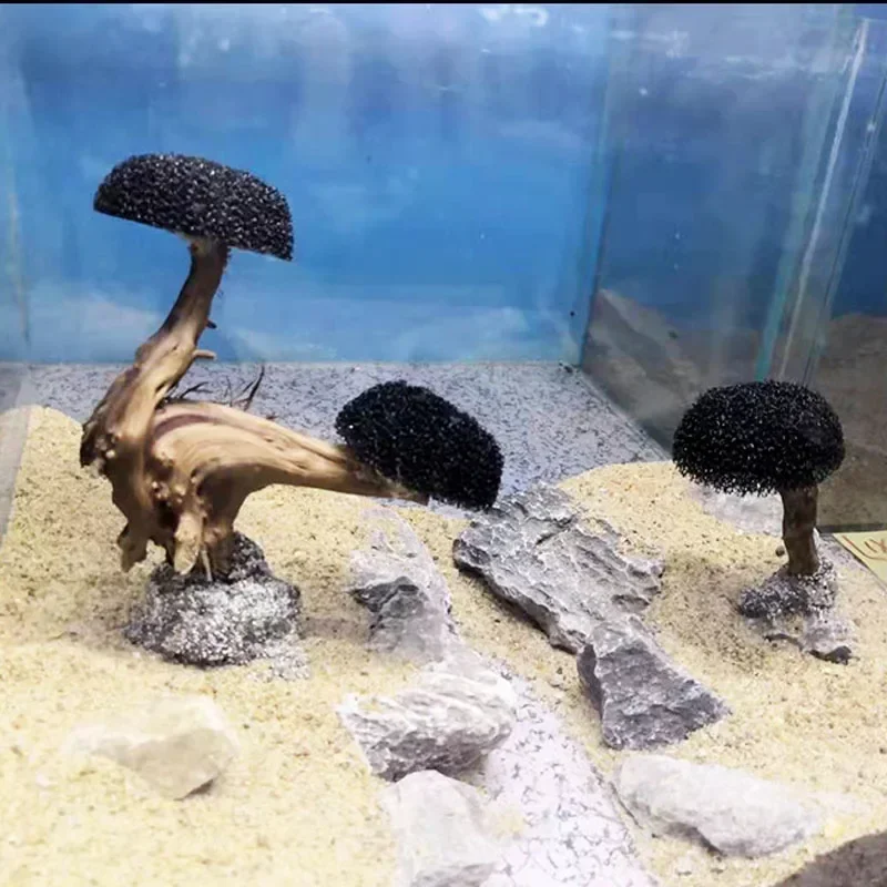 ต้นไม้ตกแต่งตู้ปลา ไม้ประดับตู - Planted Aquarium Without Fish บทวิจารณ์และราคา