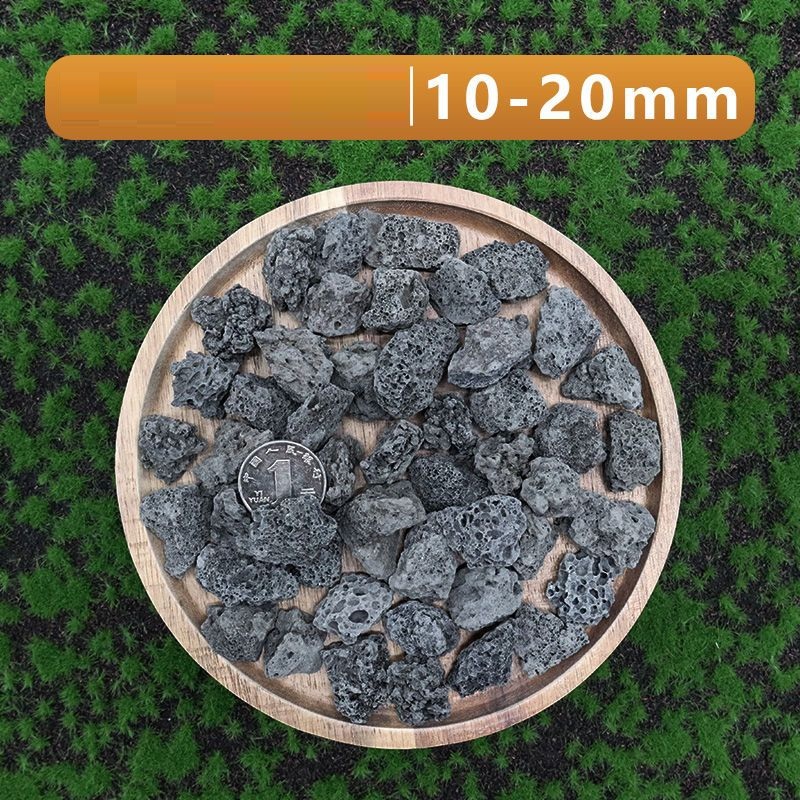 วัสดุปลูกในตู้ปลาจากหินภูเขาไฟ - Aquarium Plant Seeds บทวิจารณ์และราคา