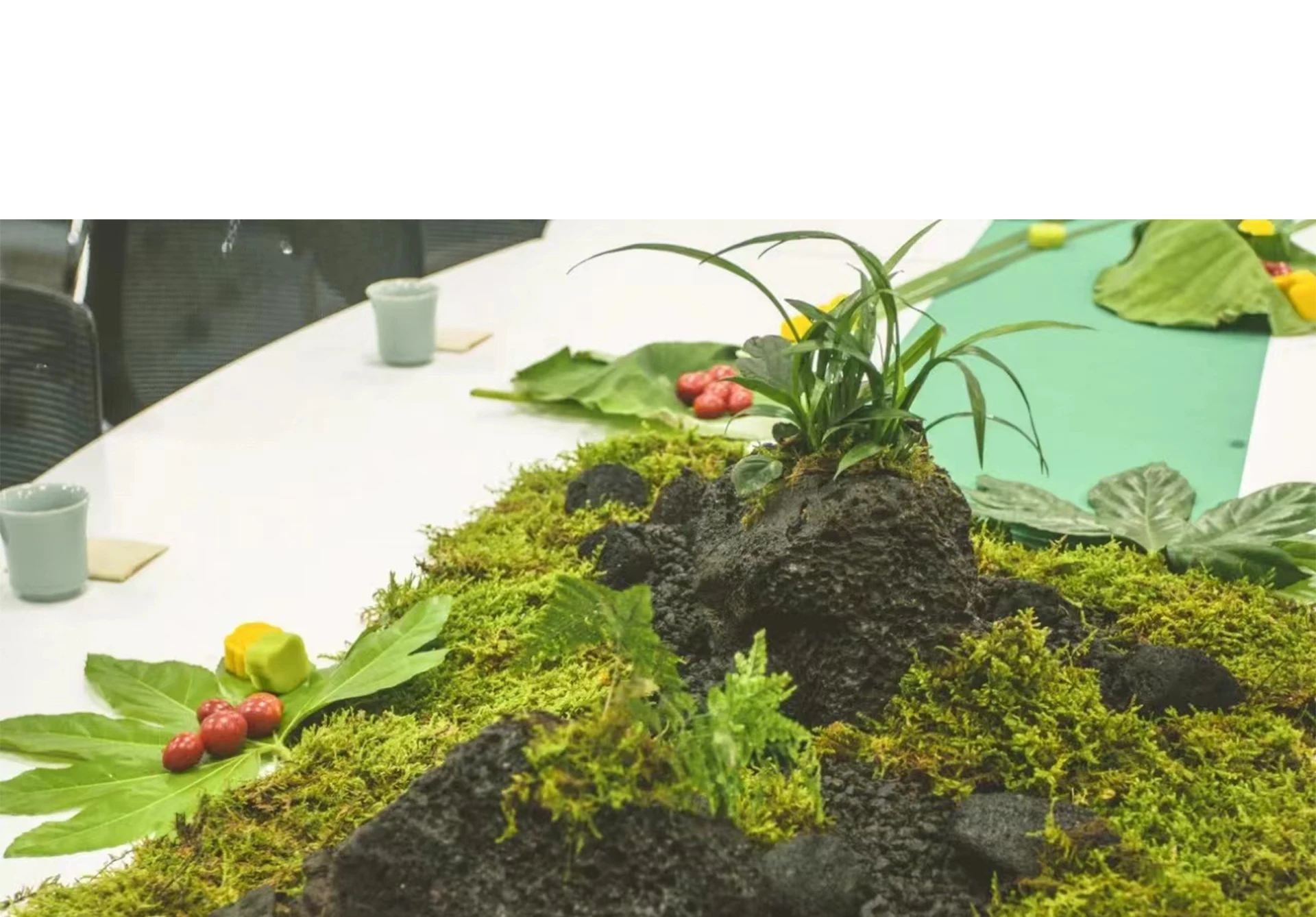 มอสปลอม มอสเทียมสําหรับกระถางต - Aquarium Plant Seeds บทวิจารณ์และราคา