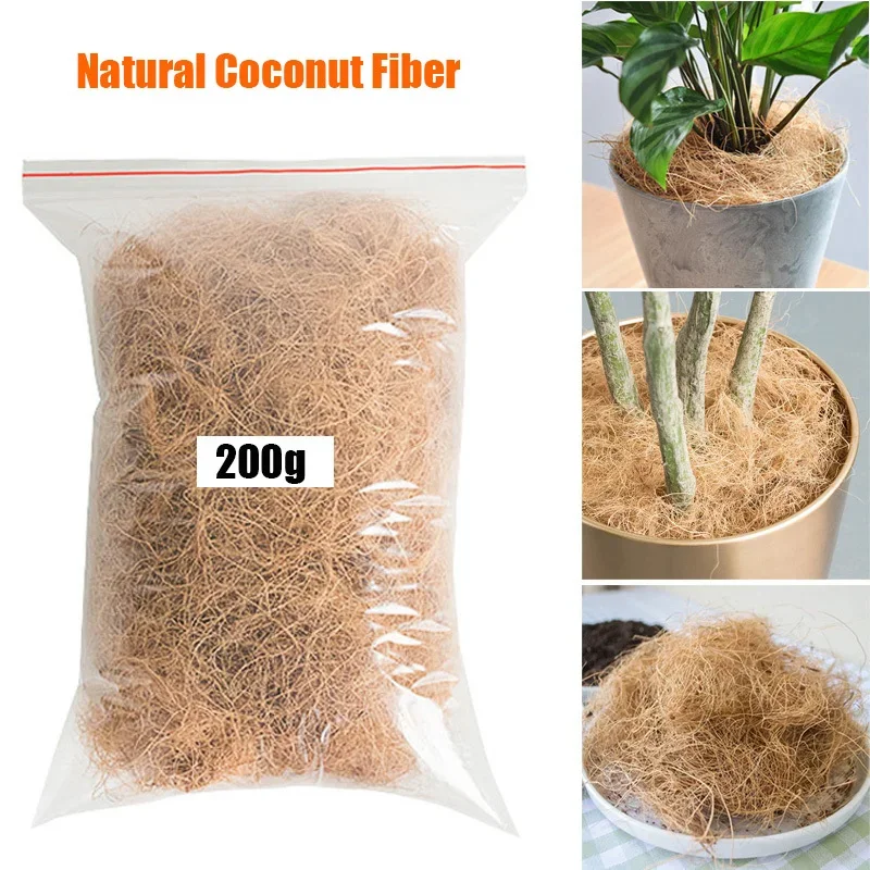 ธรรมชาติเส้นใยมะพร้าวแกลบกระถา - Tissue Culture Plant บทวิจารณ์และราคา
