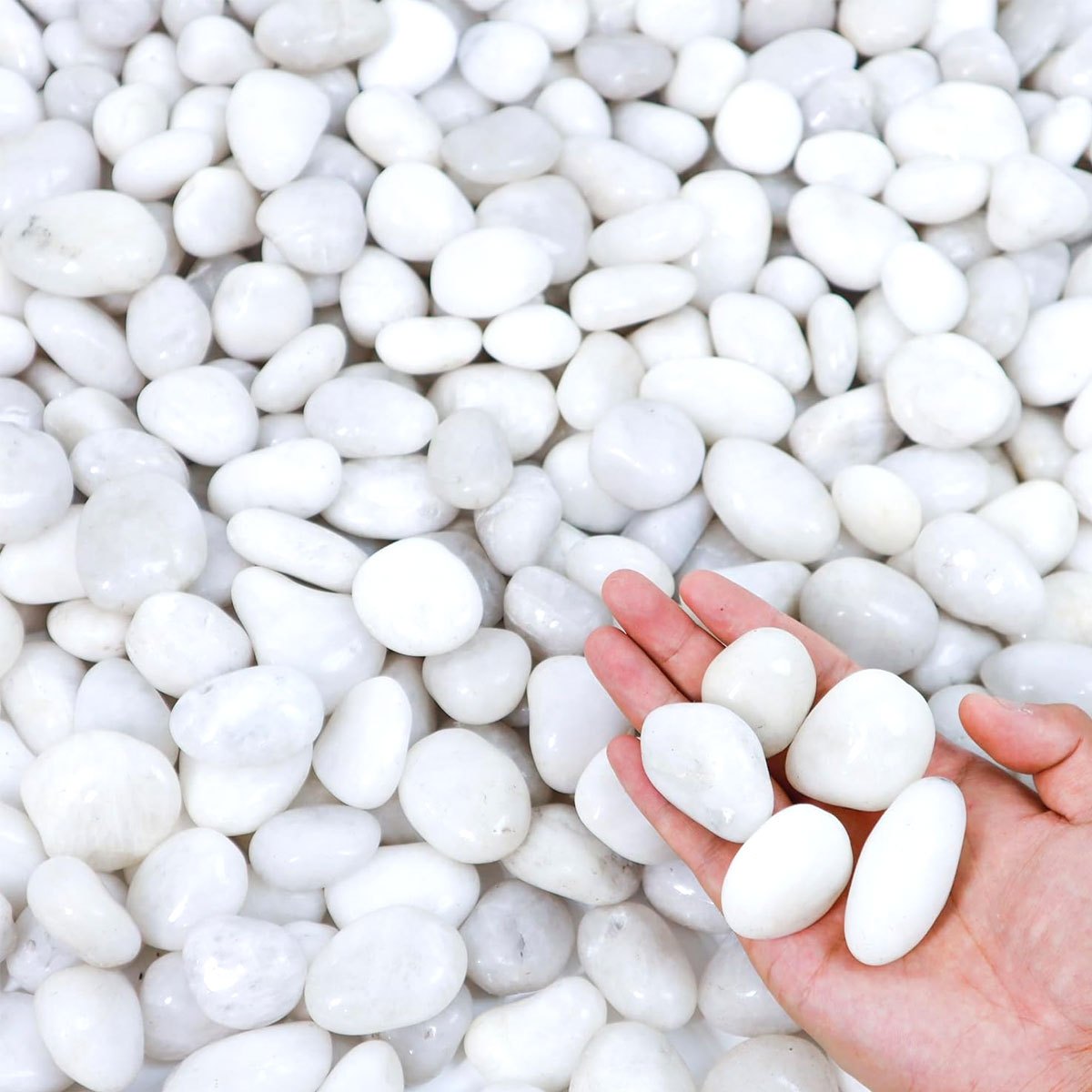 หินแม่น้ำธรรมชาติขัดเงาสีขาว 4 - Aquarium Sand White บทวิจารณ์และราคา