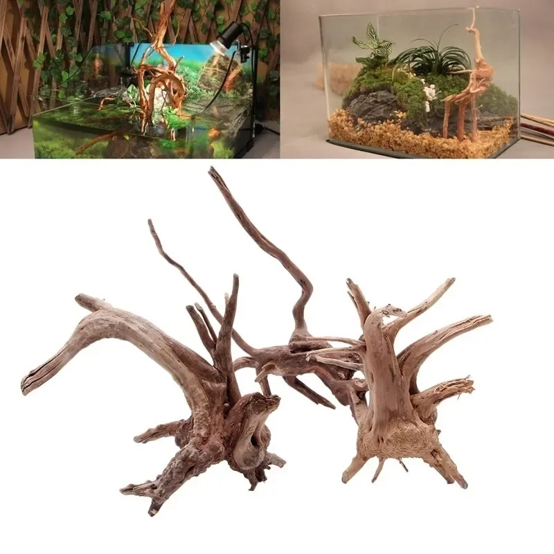 ต้นไม้ธรรมชาติลำต้นไม้ดริฟท์วู - Aquarium Plant Seeds บทวิจารณ์และราคา