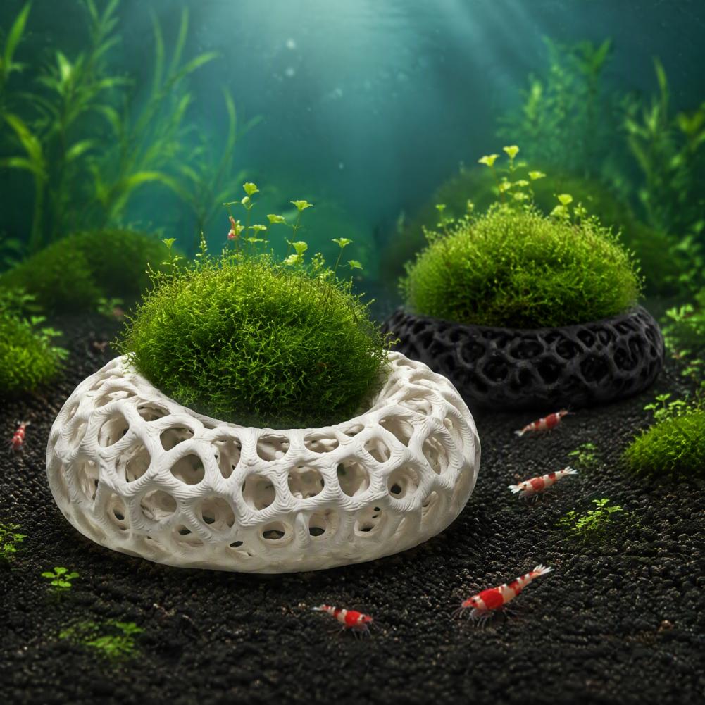ที่วางต้นไม้ในตู้ปลา 2 ชิ้น ถ้ - Planted Aquarium Anubias บทวิจารณ์และราคา