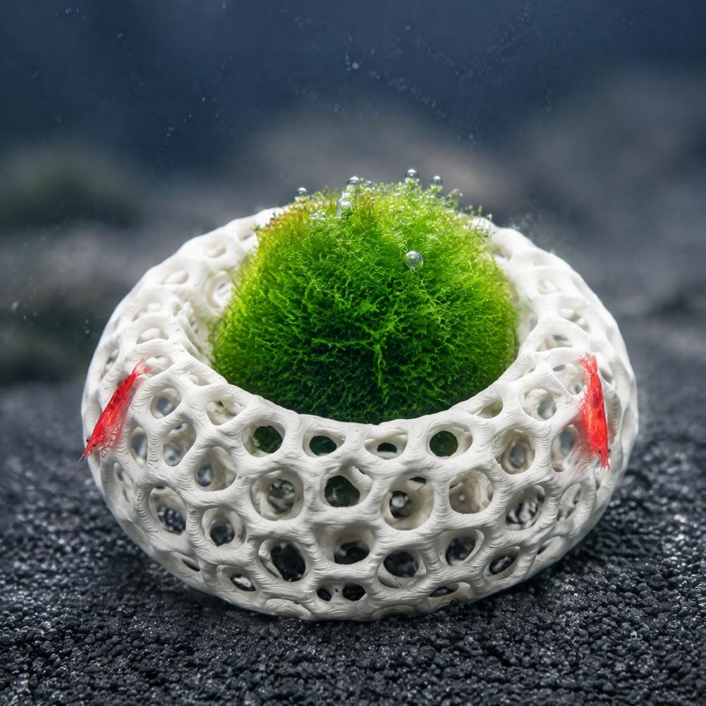 ของตกแต่งตู้ปลาเชอร์รี่ชริมป์  - Planted Aquarium Anubias บทวิจารณ์และราคา