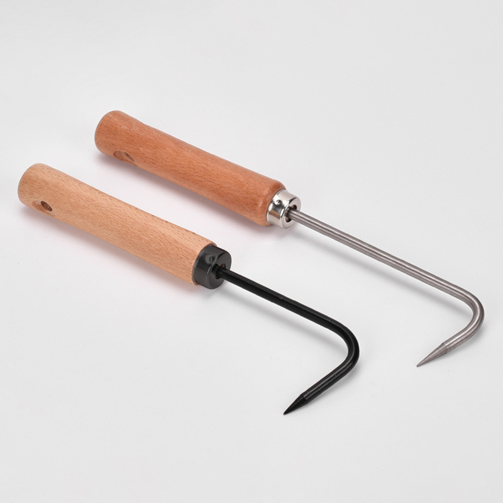 1PC SINGLE Claw Hook ดินคลายเค - Tissue Culture Plant บทวิจารณ์และราคา