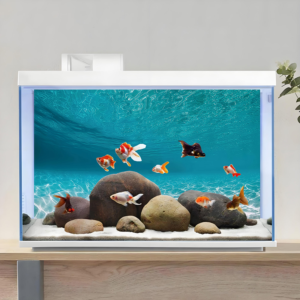ฉากหลังสำหรับตู้ปลา, ฉากหลังสำ - Aquarium Sand White บทวิจารณ์และราคา