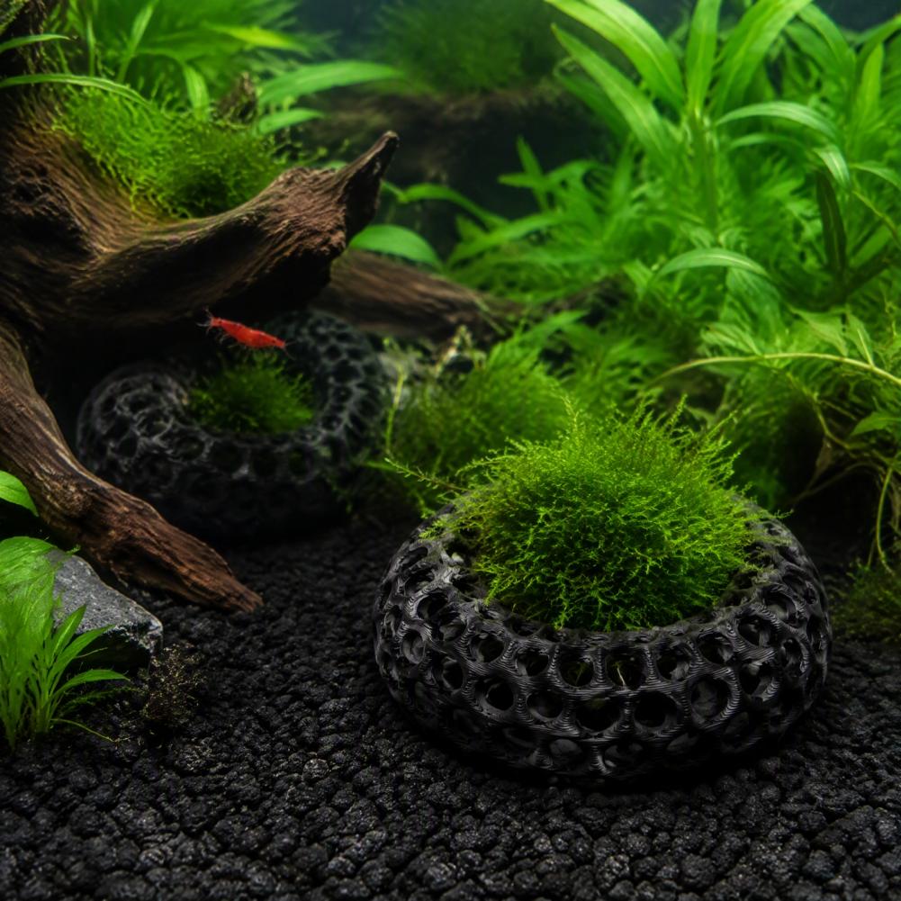 ของตกแต่งตู้ปลาสำหรับกุ้ง ชุด  - Planted Aquarium Anubias บทวิจารณ์และราคา