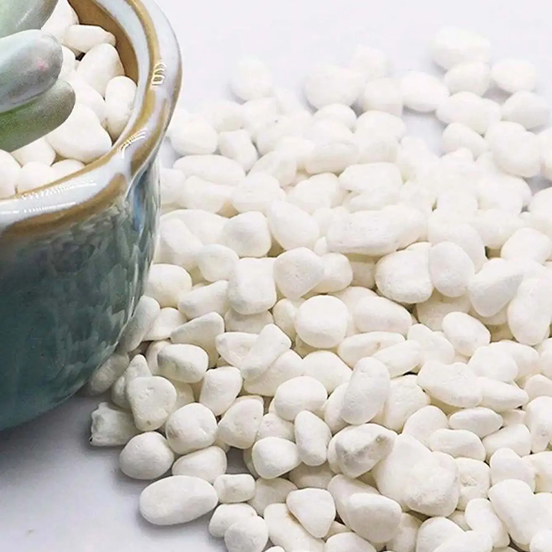 หินแม่น้ำขัดเงาสีขาวและดำ 200g - Aquarium Sand White บทวิจารณ์และราคา