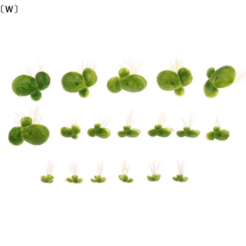 ชุดตกแต่งตู้ปลา 18 ชิ้น/ชุด ขอ - Aquarium Plant Seeds บทวิจารณ์และราคา