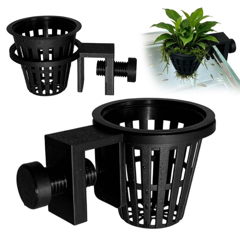 ตะกร้าปลูกต้นไม้ในตู้ปลาพร้อมท - Planted Aquarium Anubias บทวิจารณ์และราคา