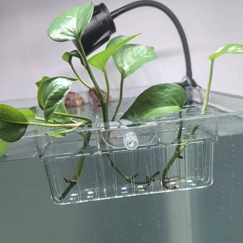 ตะกร้าปลูกพืชไฮโดรโพนิก เกรดอา - Aquarium For Planted Tank บทวิจารณ์และราคา