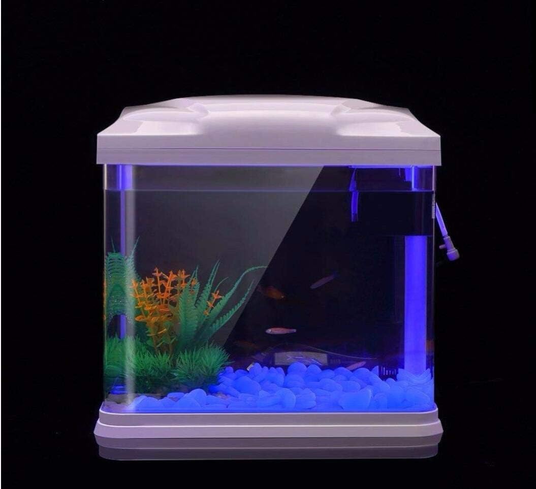 ถังปลา Rocks Glow Blue Pebbles - Aquarium For Planted Tank บทวิจารณ์และราคา