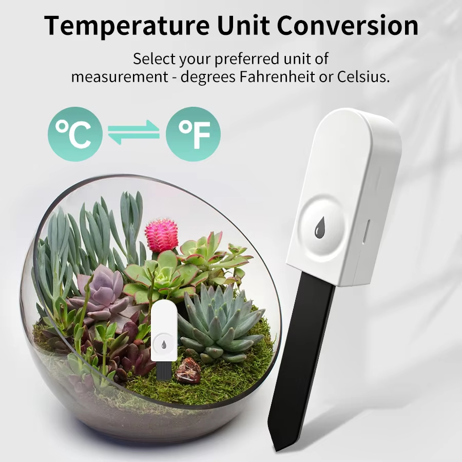 เครื่องตรวจวัดความชื้นในดิน อุ - Tissue Culture Plant บทวิจารณ์และราคา