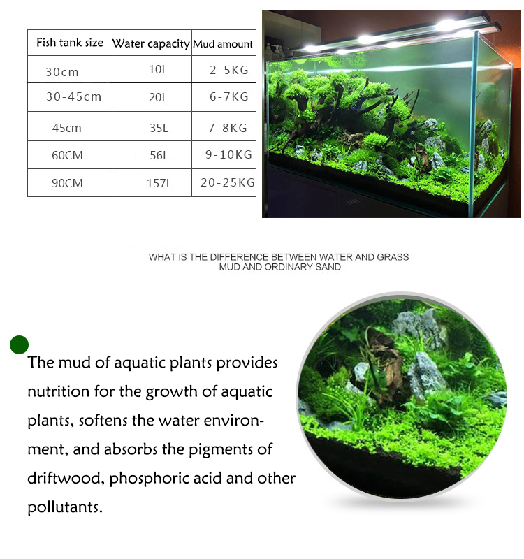 พิพิธภัณฑ์สัตว์น้ำเมล็ดพืชดิน  - Aquarium Plant Seeds บทวิจารณ์และราคา