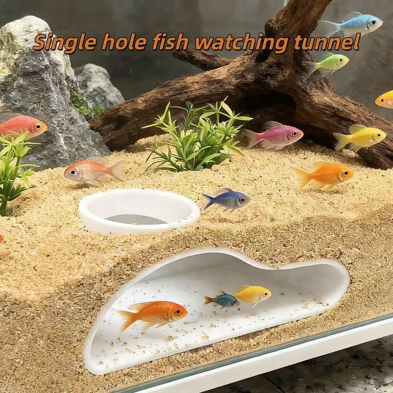 อุโมงค์ปลาสำหรับซ่อนตัวในตู้ปล - Aquarium Plant Seeds บทวิจารณ์และราคา