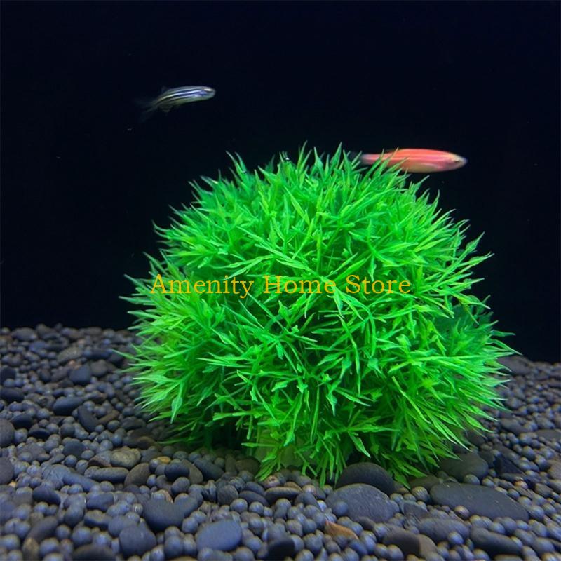 F26C สีเขียวประดิษฐ์ Marimo สำ - Aquarium Plant Seeds บทวิจารณ์และราคา