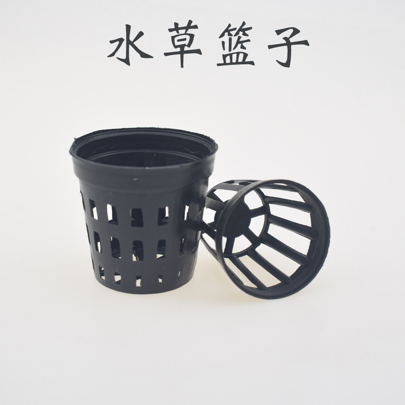 5 ชิ้น/ล็อตถังปลาพืชปลูกตะกร้า - Tissue Culture Plant บทวิจารณ์และราคา