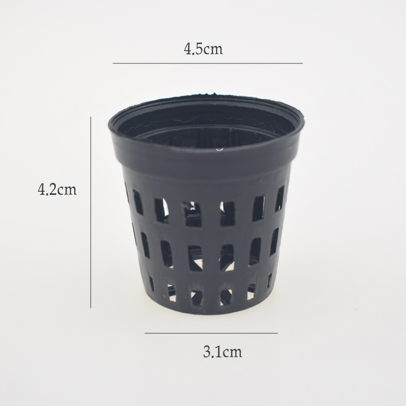 5 ชิ้น/ล็อตถังปลาพืชปลูกตะกร้า - Tissue Culture Plant บทวิจารณ์และราคา