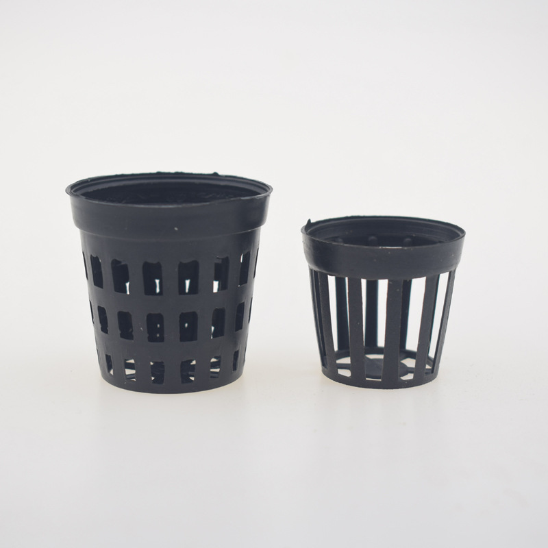 5 ชิ้น/ล็อตถังปลาพืชปลูกตะกร้า - Tissue Culture Plant บทวิจารณ์และราคา