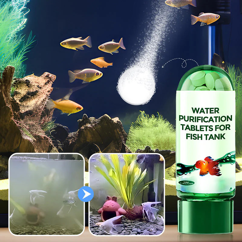 แท็บเล็ตทำน้ำให้ใสสำหรับตู้ปลา - Aquarium Plant Seeds บทวิจารณ์และราคา