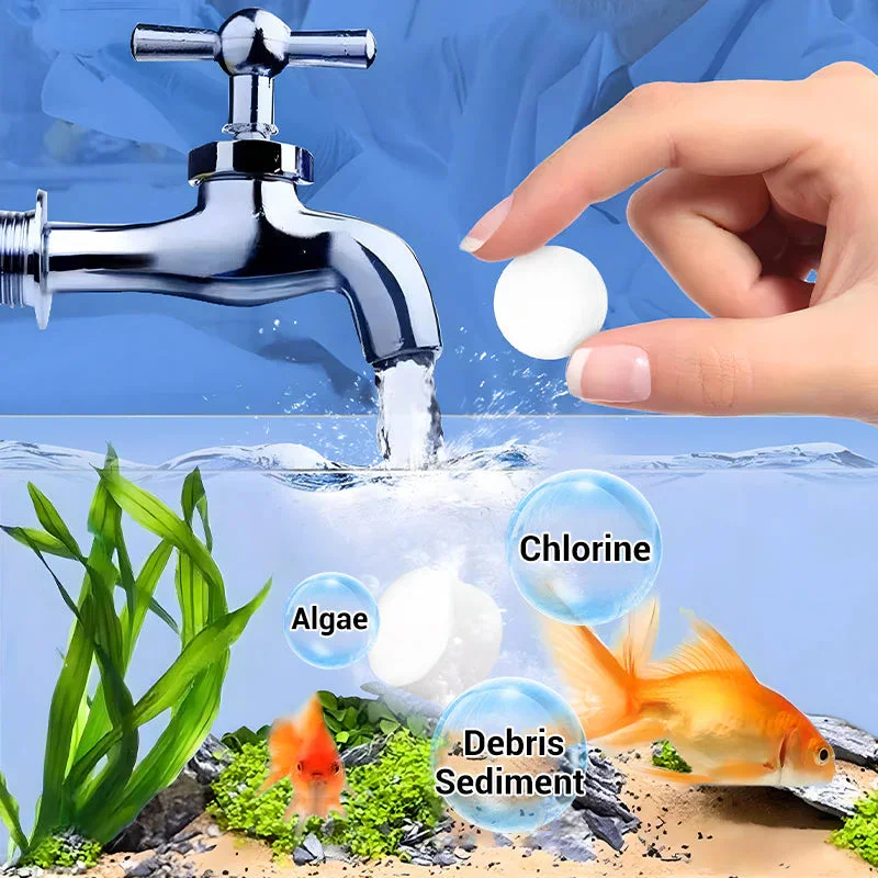 แท็บเล็ตทำน้ำให้ใสสำหรับตู้ปลา - Aquarium Plant Seeds บทวิจารณ์และราคา