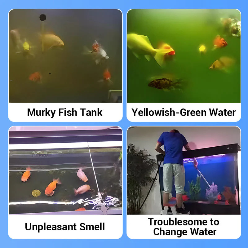 แท็บเล็ตทำน้ำให้ใสสำหรับตู้ปลา - Aquarium Plant Seeds บทวิจารณ์และราคา
