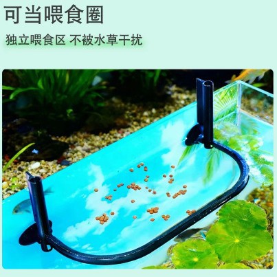 วงแหวนแยกสำหรับป้อนอาหารพืชน้ำ - Aquarium Plant Seeds บทวิจารณ์และราคา