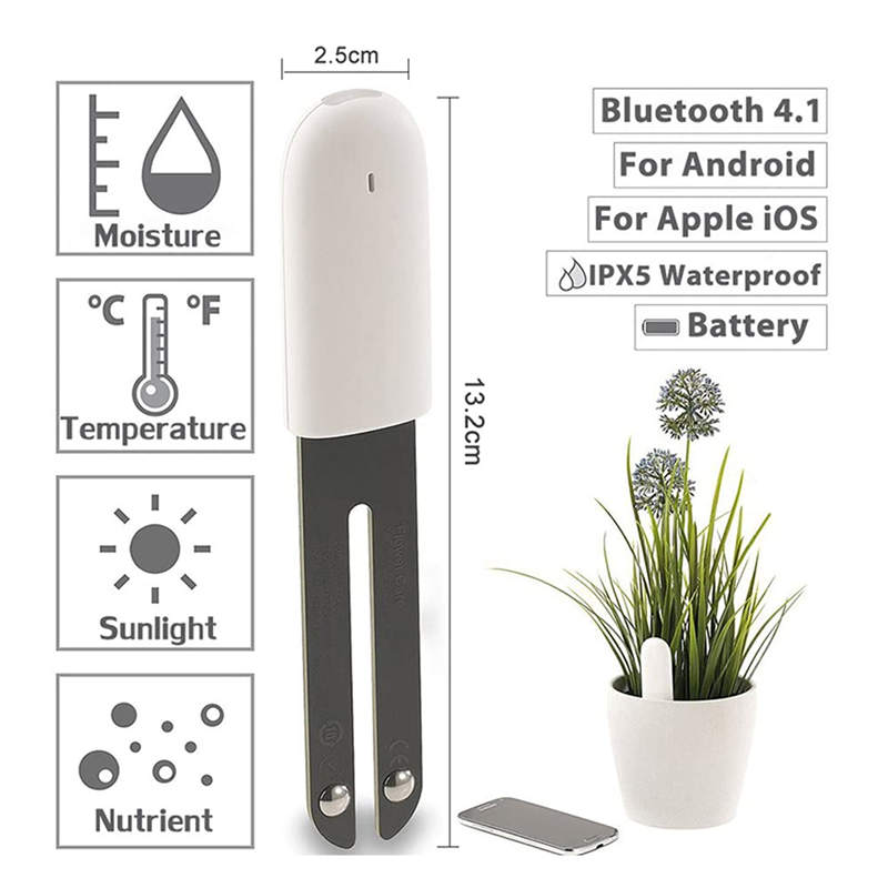 HHCC ดอกไม้ Monitor Flora Gard - Tissue Culture Plant บทวิจารณ์และราคา