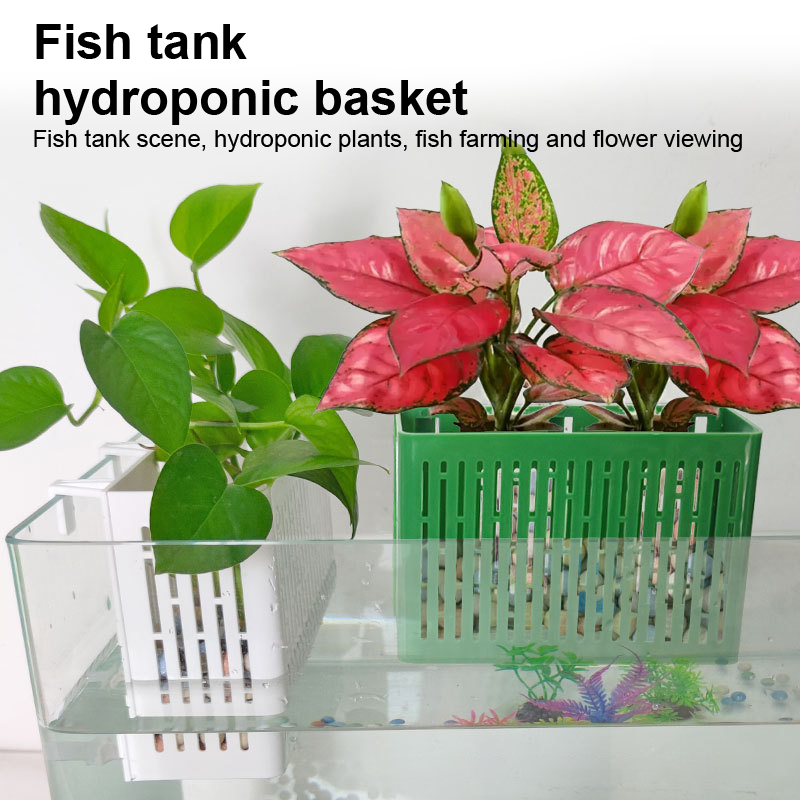 【F】กระถางแขวนตู้ปลา ที่วางต้นไ - Aquarium For Planted Tank บทวิจารณ์และราคา