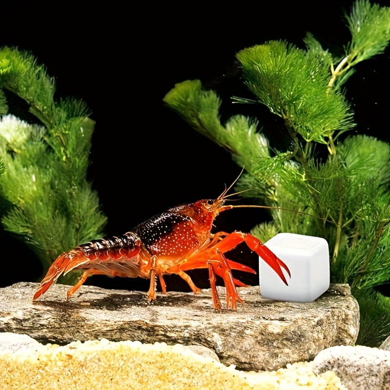 หินแคลเซียมสำหรับตู้ปลา 6 ชิ้น - Aquarium Plant Seeds บทวิจารณ์และราคา