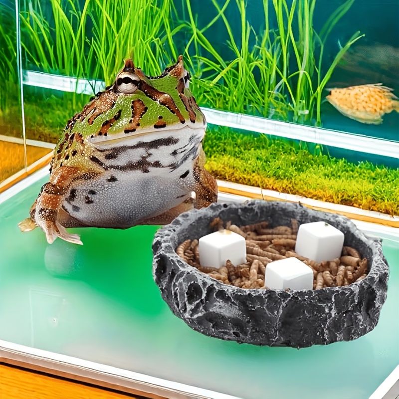 หินแคลเซียมสำหรับตู้ปลา 6 ชิ้น - Aquarium Plant Seeds บทวิจารณ์และราคา