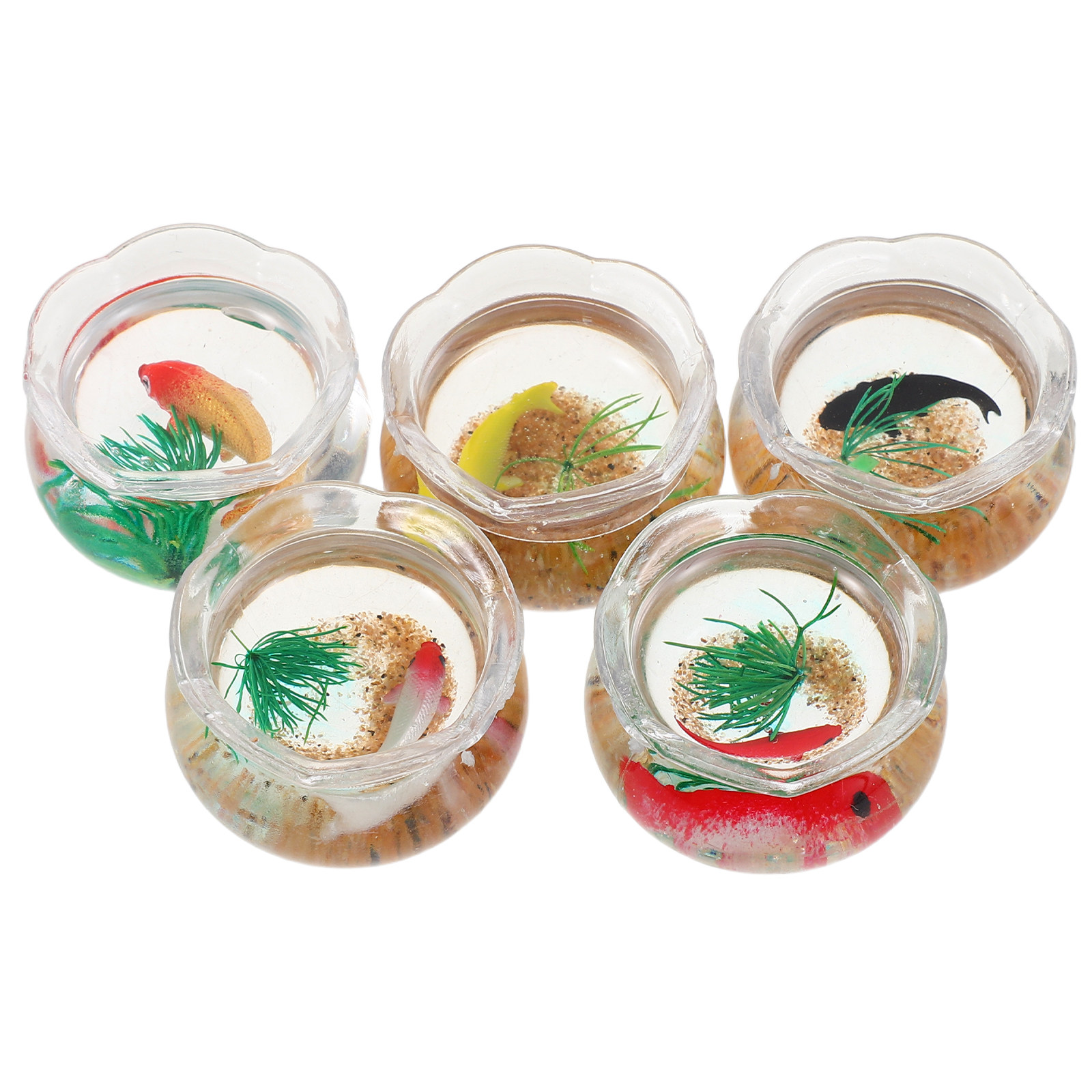 5 ชิ้น ตู้ปลาจิ๋ว ตู้ปลาคาร์ปจ - Aquarium For Planted Tank บทวิจารณ์และราคา